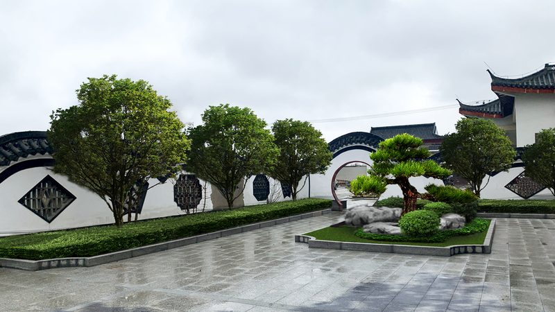 胸径8公分乌桕，选购要点与市场行情分析**