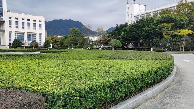 上海花园洋房园林公司对比：施工周期与养护成本考量